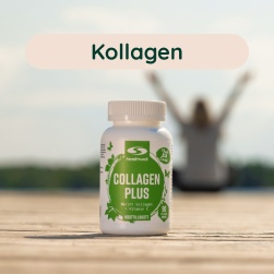 Kollagen